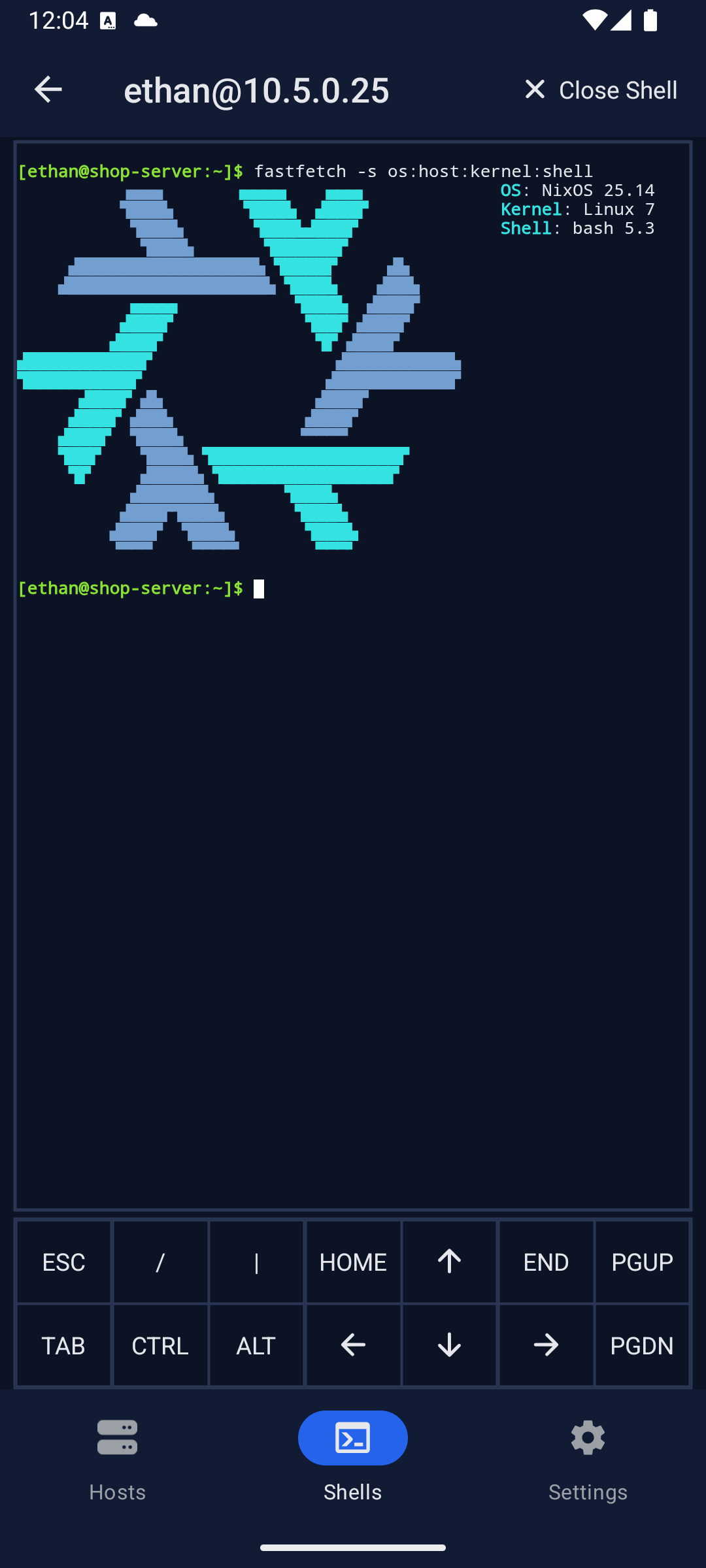 Shell detail screenshot