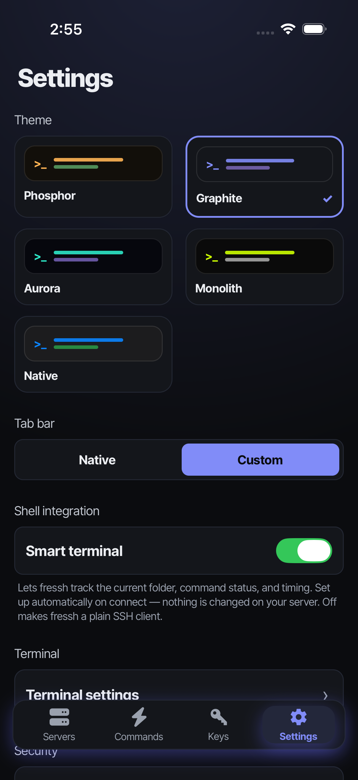 Settings tab — themes and terminal options